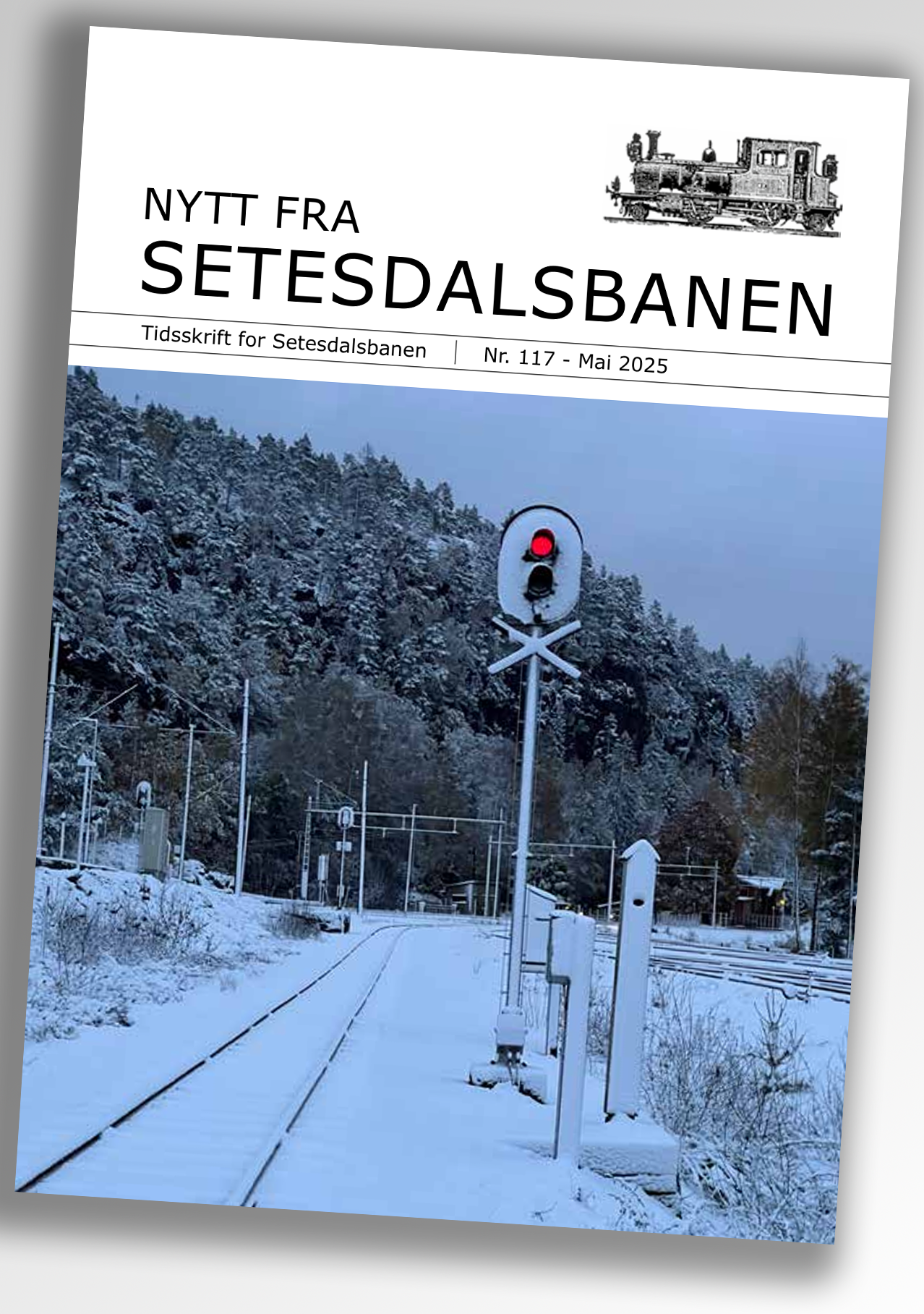 Nytt fra Setesdalsbanen nr 117